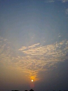我が家の犬達と夕日^^
