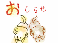 突然ですが・・・