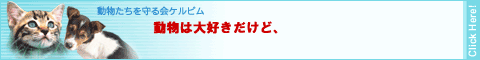 動物たちを守る会 ケルビム