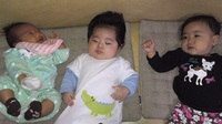 2011年11月22日