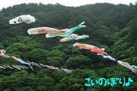今更ながら・・・