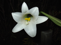 2006年10月15日