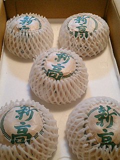 今年も届いた新高梨♪