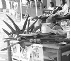 おまけにもう1つ離島だ♪
