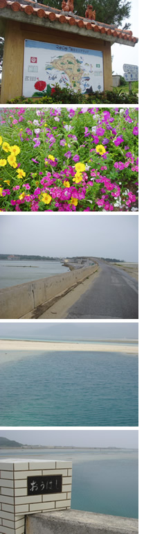久米島~ウミガメ館へ