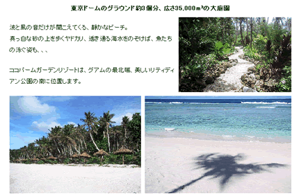 ココパームガーデンビーチ (guam)