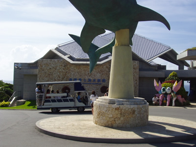 沖縄美ら海水族館前までの道