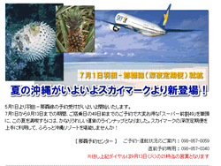 スーパー前割49 (スカイマーク)