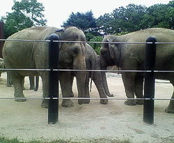 上野動物園にて!