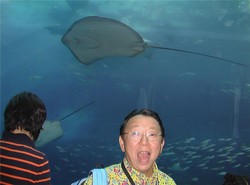 ちゅうらうみ水族館にて!