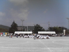 今日こそ運動会か?