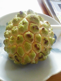 石庭