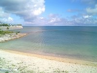 うみだねっ 2007/08/15 08:23:28
