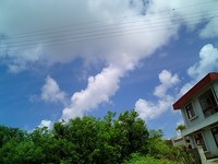 ビーチパーティー 2007/08/18 11:10:19
