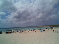 ビーチパーティー 2007/08/18 14:01:00