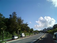 たまには沖縄の 2007/07/11 17:31:44