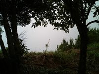 台風近いぜ 2007/07/12 18:47:55