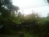 台風ですよ 2007/07/13 07:37:44