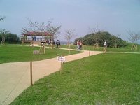 真栄田岬よ 2007/04/29 15:06:20