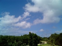 青さ 2007/04/30 14:51:30