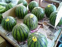 なきじんすいか 2007/05/31 10:33:35