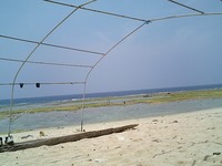 うみさいこー 2007/05/31 13:03:31