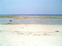 昼下がり海 2007/05/31 13:45:11