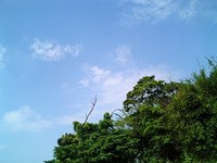 空が 2007/06/01 15:40:14