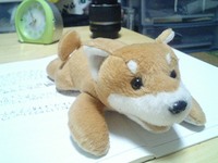 わんこ 2007/06/06 19:58:02