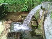 水がほうふだよ 2007/06/09 11:19:54