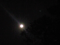 満月 2008/02/21 21:20:51
