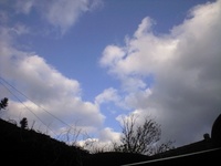 今日は 2008/02/24 17:18:11