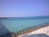 今日は 2008/02/25 10:23:25