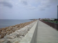 海岸 2008/04/29 14:13:15