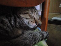 たまっぷさん 2007/11/27 09:39:11