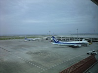 久々に 2008/05/06 09:24:59