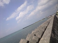 はれた 2008/02/28 14:49:27