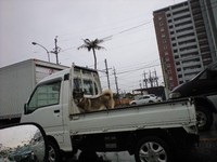 ぁめのひわんたん 2008/06/12 14:41:14