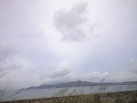 くもりっ 2008/06/14 08:57:37