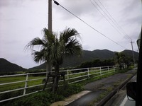 伊平屋島風景 2008/06/14 20:28:29
