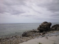 海 2008/06/14 20:27:27