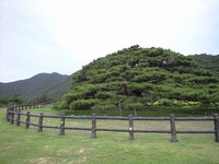 念頭平松 2008/06/15 12:24:11