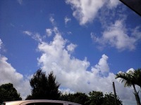 なつだっ(^-^)/ 2008/06/18 10:49:18