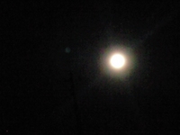 満月 2008/06/18 21:57:31