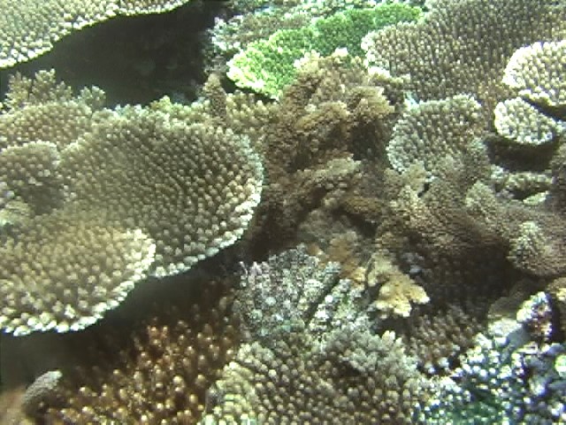 夏休みが・・・