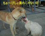 てぃだ工房