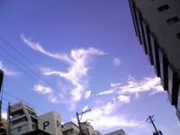 初メール 2008/07/05 01:27:22