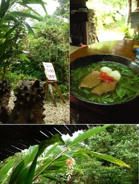 雨、そば 2008/06/03 17:08:55