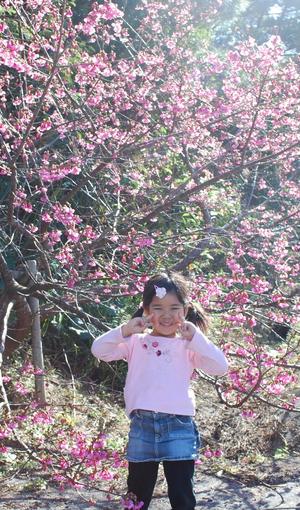 桜日和&海だー