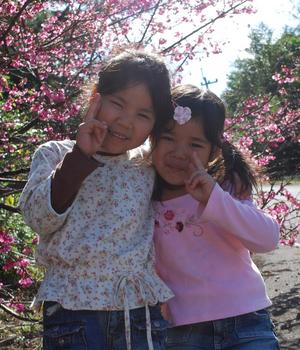 桜日和&海だー